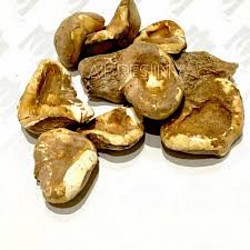 خميرة البيرة الطبيعية